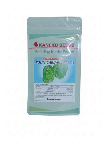 COL CORAZON HIBRIDA  POINT N09358