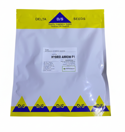 Espinaca Hibrida Arrow